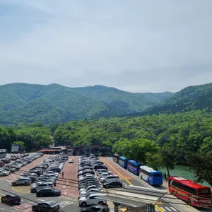 다닐목식당 리뷰 사진