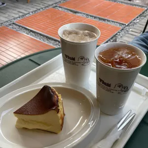 트키 도산 사진