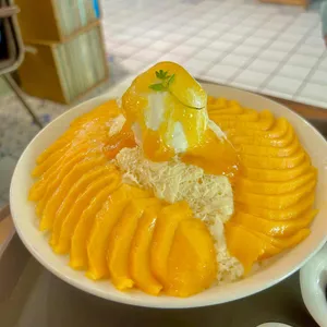 셀레브르 사진