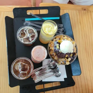 까멜리아 사진