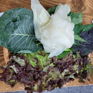 토종골 사진