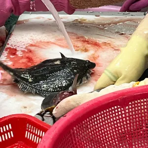 복미네횟집 사진
