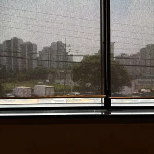 스타벅스 리뷰 사진