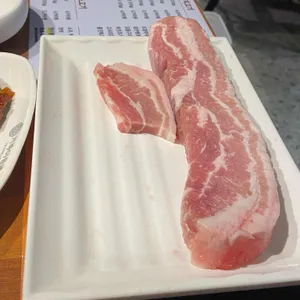 거북이동네 사진