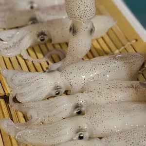신천포차 리뷰 사진