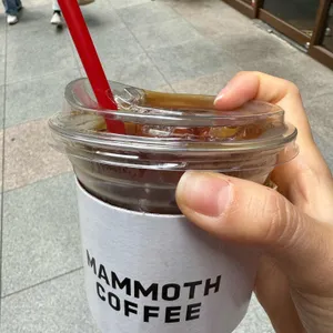 매머드익스프레스 사진