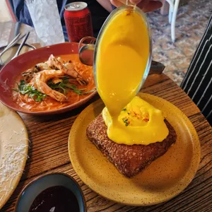 달마시안 사진