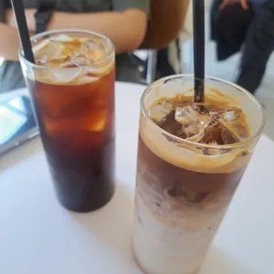 노틀던 사진