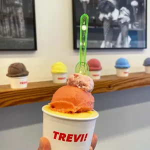 트레비 사진