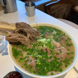 포레스트오늘,숲 사진