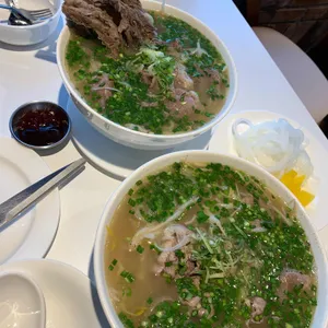 포레스트오늘,숲 사진