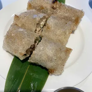 포레스트오늘,숲 사진