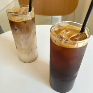 노틀던 사진