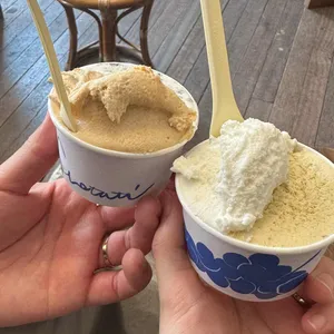 코타티 사진