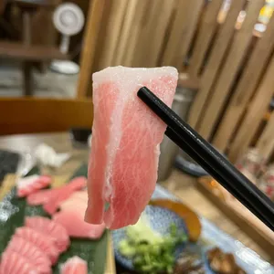 요이참치 사진