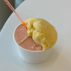 오셔젤라또 사진