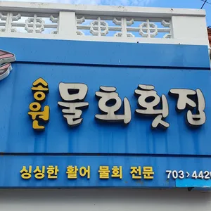 송원물회횟집 리뷰 사진