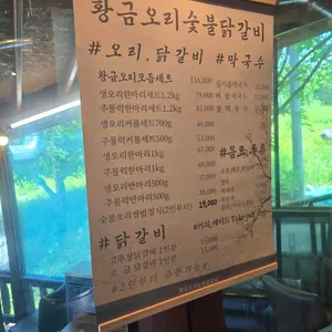 황금오리숯불닭갈비 리뷰 사진