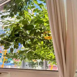 카페 버터럼 리뷰 사진