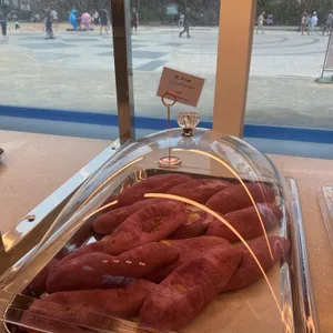 웨일라잇 사진