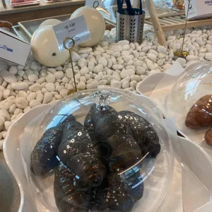 웨일라잇 사진