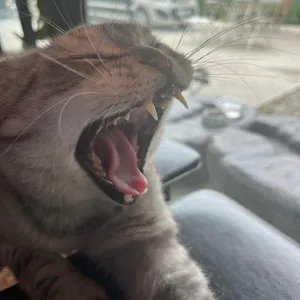 바람결 리뷰 사진