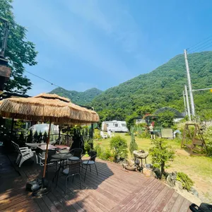 젤코바 리뷰 사진