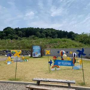 세컨드원 바이브 리뷰 사진