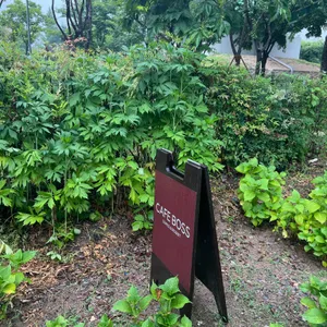 카페보스 리뷰 사진