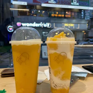 헤이티 사진