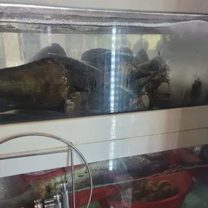 조개1번가 리뷰 사진