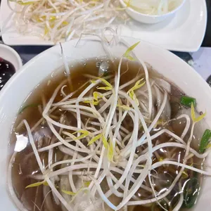포메인 사진