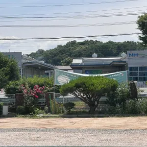 망향비빔국수 리뷰 사진