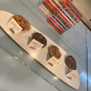 담장옆에국화꽃CCOT 리뷰 사진