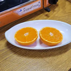 아리네닭도리탕 사진