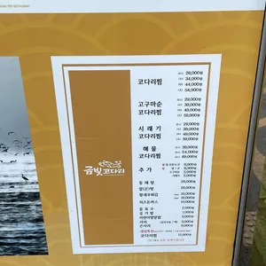 금빛코다리어울림 리뷰 사진