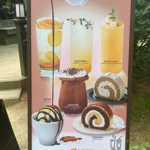 고목 사진