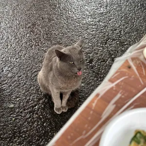 오성횟집 사진