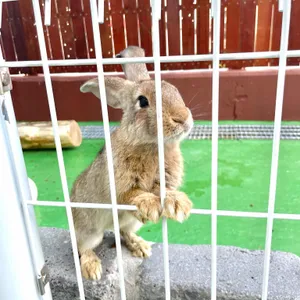 카페 시온 리뷰 사진