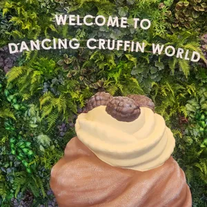 댄싱카페인 사진