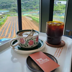 허그포레스트 사진