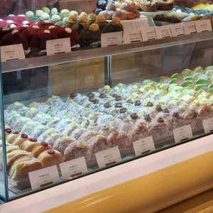 노티드 사진