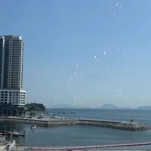 정쿡 리뷰 사진