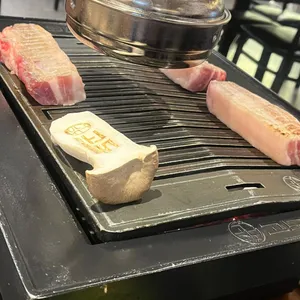 고도 사진