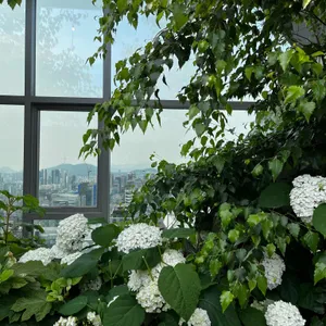 루프808 리뷰 사진