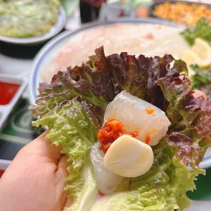 갯바위 사진