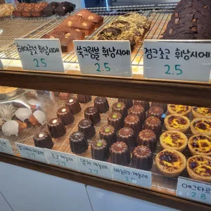 데이라이트 리뷰 사진