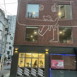 덤브다이버 리뷰 사진