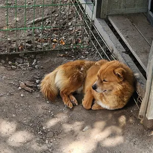 송광순두부 리뷰 사진