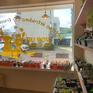 포테이토얌 리뷰 사진